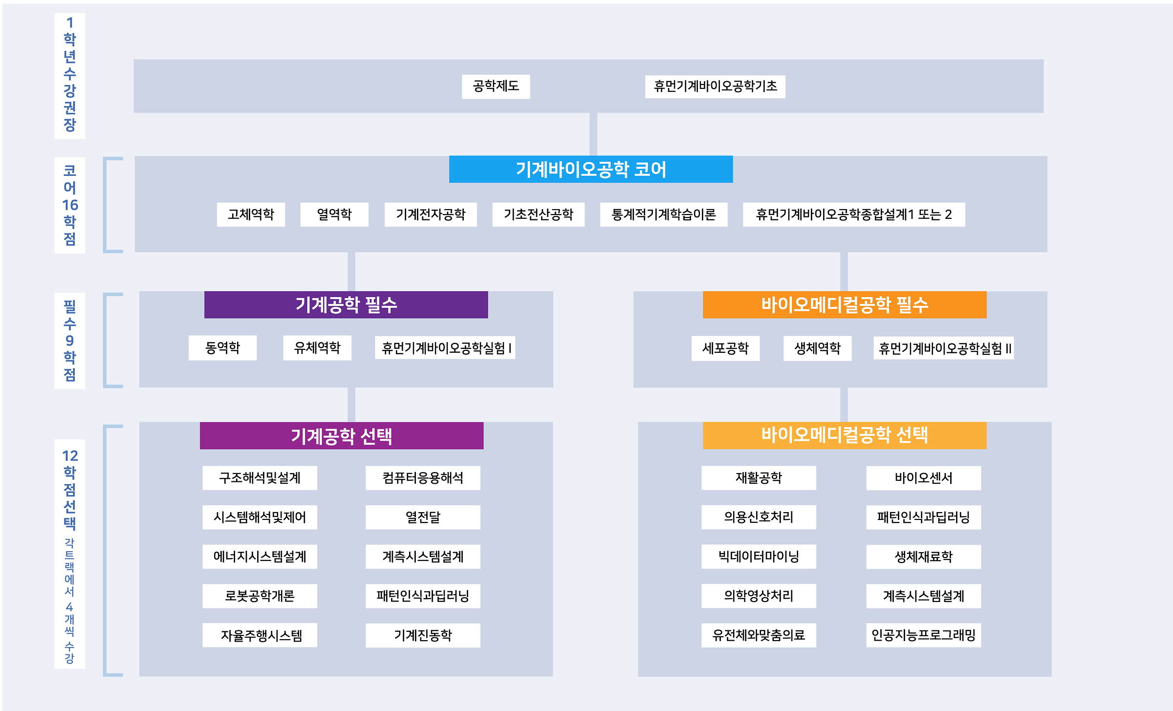 트랙별 심화과정(2025개정안)