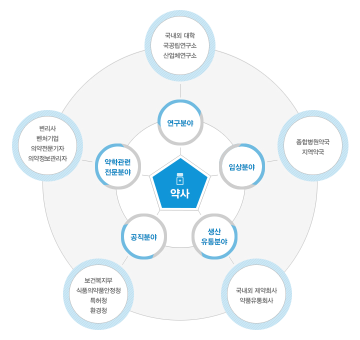 약학대학 진출분야 도식 이미지