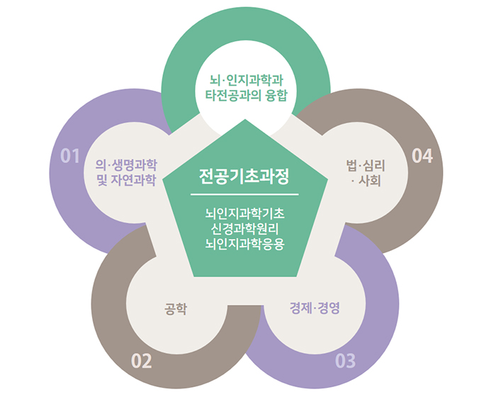 뇌 인지과학부 교과과정