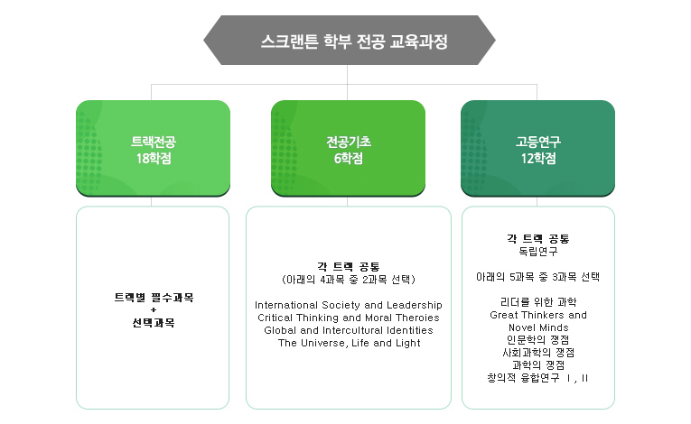 스크랜튼학부 자유전공 교육과정 도식이미지