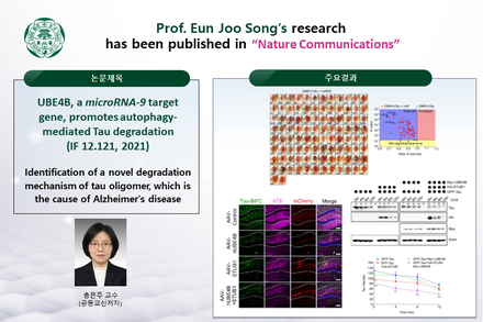 Prof. Eun Joo Song’ research has been published in Nature Communications