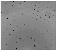 Good diffraction quality