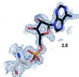 2sigma electron density map