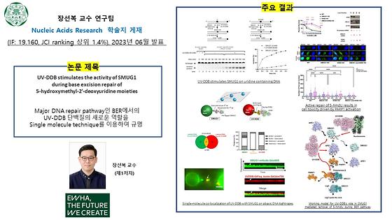 장선복교수연구실적