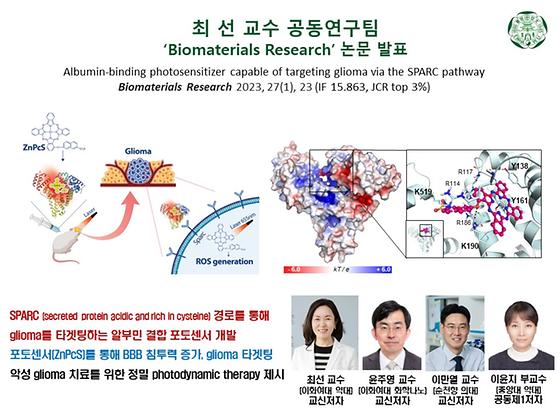 최선교수님 연구성과