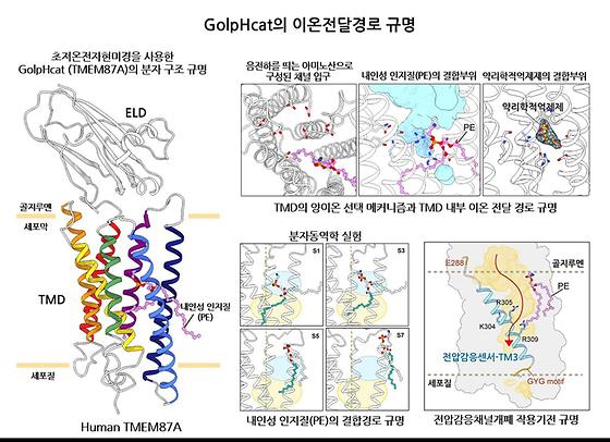 최선교수연구성과